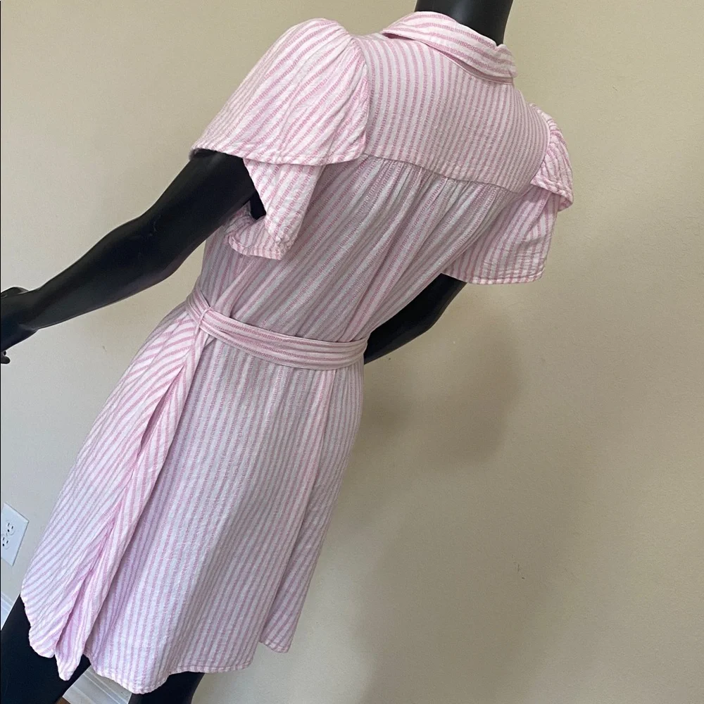 Alexis Pink and White Striped Button Mini Dress - Picture 8 of 14